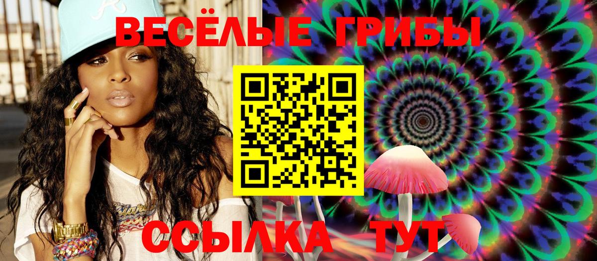 Каменск-Шахтинский  Псилоцибиновые грибы Psilocybine cubensis  Вход с VPN 