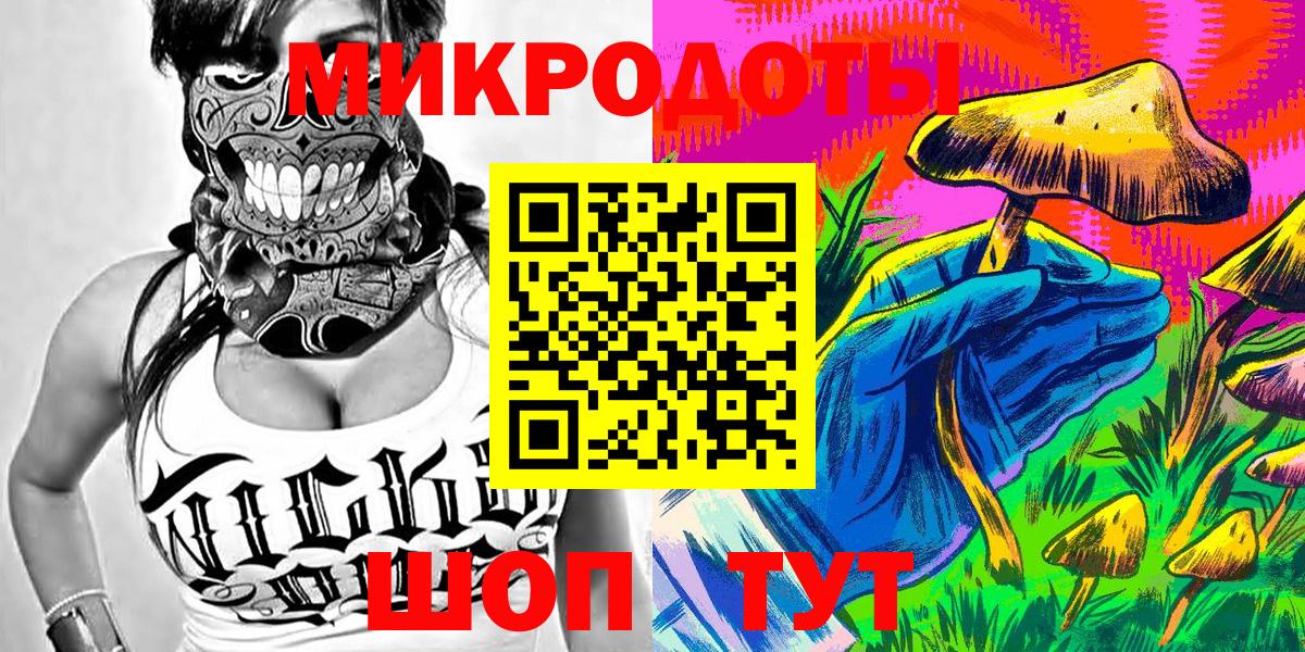 Псилоцибиновые грибы Psilocybe Каменск-Шахтинский